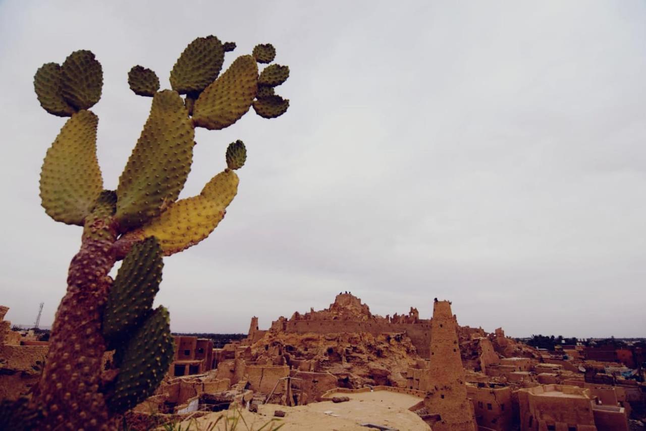 شقة Nainshal Siwa Siwa Oasis المظهر الخارجي الصورة